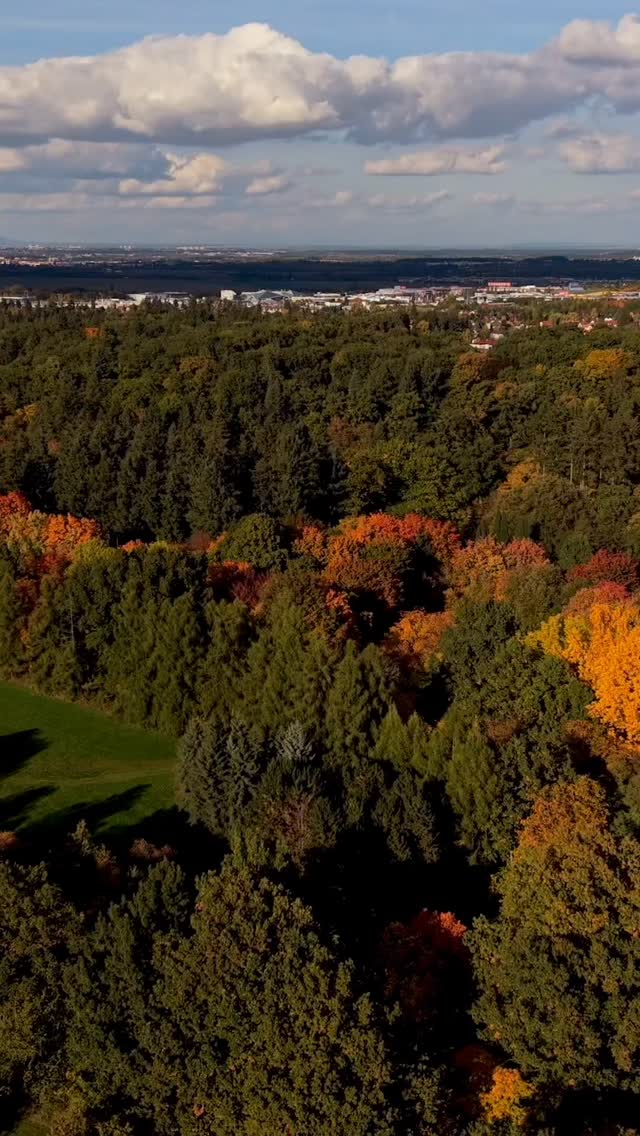 A refined home office by Bolshakova Studio, where sophistication meets purpose.

This space is designed for focus and inspiration — soft natural light, rich wooden textures, and harmonious proportions create an atmosphere of calm authority.
The classic seating, modern lighting, and art accents bring warmth and individuality, while the custom shelving adds both function and rhythm to the design.

A perfect balance between elegance and productivity — a workspace that motivates and reflects a life of taste and achievement.

Team: @natalybolshakova @andrii.shuliak
 @kalinina_iryna_ukraina  @olha_drachuk  @olga_boyko_n

Furniture:
Ceiling light – @flos 
Chandelier, lamps – @officinaluce 
Doors – @lualdi_official 
Containers and bookcases – @giorgettiofficial 
Armchairs, sofa, desk, desk chair – @poltronafrauofficial 
Tables – @operacontemporary 
Rug – @moooi

#BolshakovaStudio #HomeOffice #WorkspaceDesign #InteriorDesign #LuxuryInteriors #TimelessElegance #DesignThatInspires