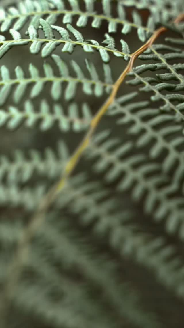 A sanctuary of calm and restoration.
This private spa zone by Bolshakova Studio combines natural materials, refined lighting, and sensory balance to create a space where every detail invites relaxation.

Marble textures, warm wood, and living greenery reflect the harmony between nature and modern design — offering an atmosphere of pure serenity and renewal.

Team: @natalybolshakova @andrii.shuliak
 @kalinina_iryna_ukraina  @olha_drachuk  @olga_boyko_n

Furniture:
Shelving wall – @rimadesio_official 
Wall lamp – @officinaluce 
Sofa – @flexformspa 
Coffee table – @giorgettiofficial 
Massage table – @nilo_spa_design 
Washbasin – @antoniolupidesign

Contact us: 
welcome@bolshakovastudio.com
www.bolshakovastudio.com

#BolshakovaStudio #SpaDesign #LuxuryInteriors #Wellbeing #DesignHarmony #InteriorArchitecture
