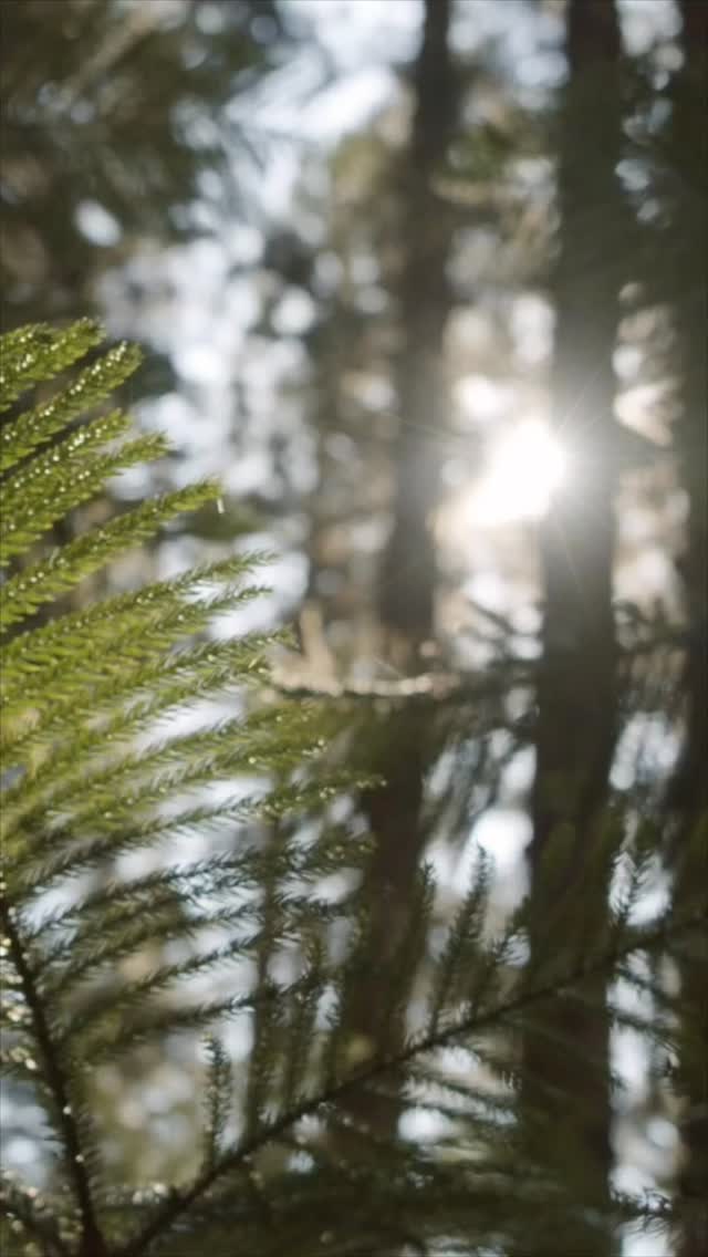 A spacious private residence nestled in a pine forest on the riverbank — a home where architecture and nature meet in perfect harmony.

Across two floors, the interior continues this dialogue with warm wood, calm travertine, and textured stone creating a serene, grounded atmosphere. Wooden panels flow along the walls and partly onto the ceilings, adding rhythm and depth.

Art pieces and sculptural bas-reliefs enrich the space, while expansive glazing fills the home with daylight. Panoramic windows frame the pine forest, making nature an essential part of everyday living.

A home where calmness, texture, and natural materials create a refined and thoughtful living experience — signature to Bolshakova Studio.

Team: @natalybolshakova @andrii.shuliak
 @kalinina_iryna_ukraina  @olha_drachuk  @natalya_yanukovich @diloyan.e @arimanki @matskevychlera

Architecture: @vivas_architectural_bureau @vitaliy_vasyagin