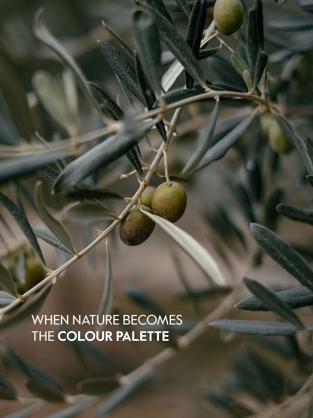 Nature has its own design language.

From organic shapes and earthy tones to natural textures and delicate contrasts, nature inspires interiors that feel balanced, timeless and deeply connected to their surroundings.

At Bolshakova Studio, we believe the most beautiful spaces are those that reflect the harmony of the natural world. ✨

+357 97584413
welcome@bolshakovastudio.com
www.bolshakovastudio.com